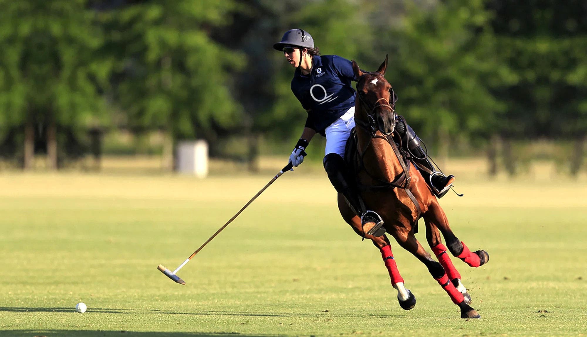 Polo AlMarsa Qatar 2025